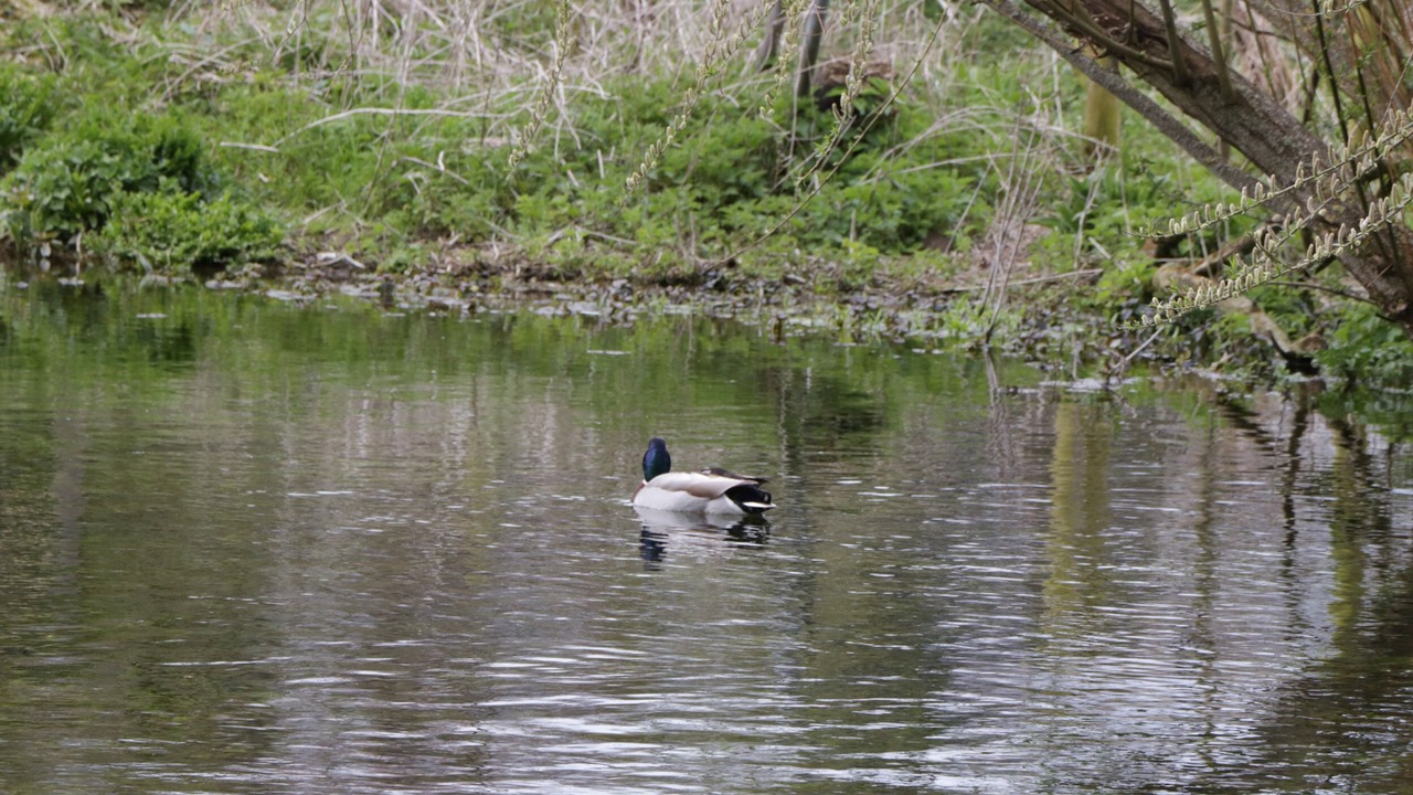 Photo of Others in Winterborne Zelston