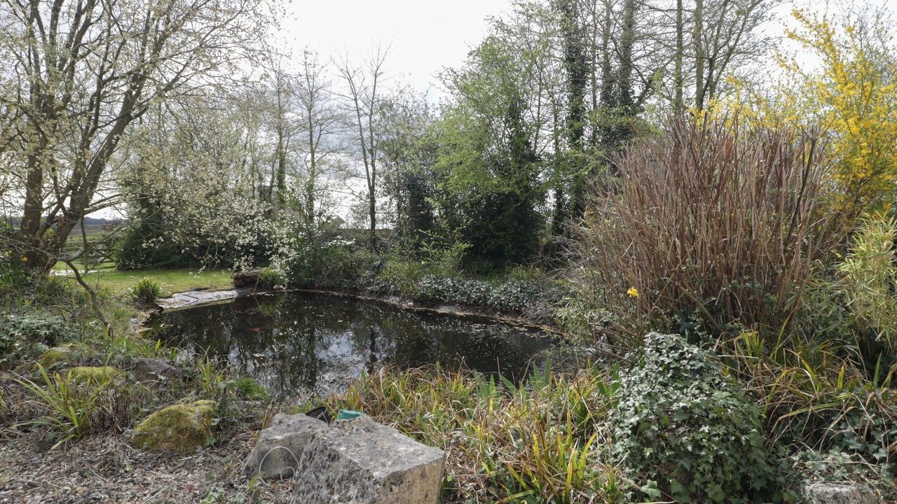 Photo of Others in Winterborne Zelston