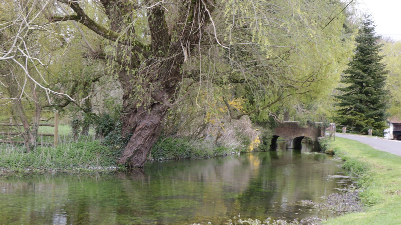 Photo of Others in Winterborne Zelston