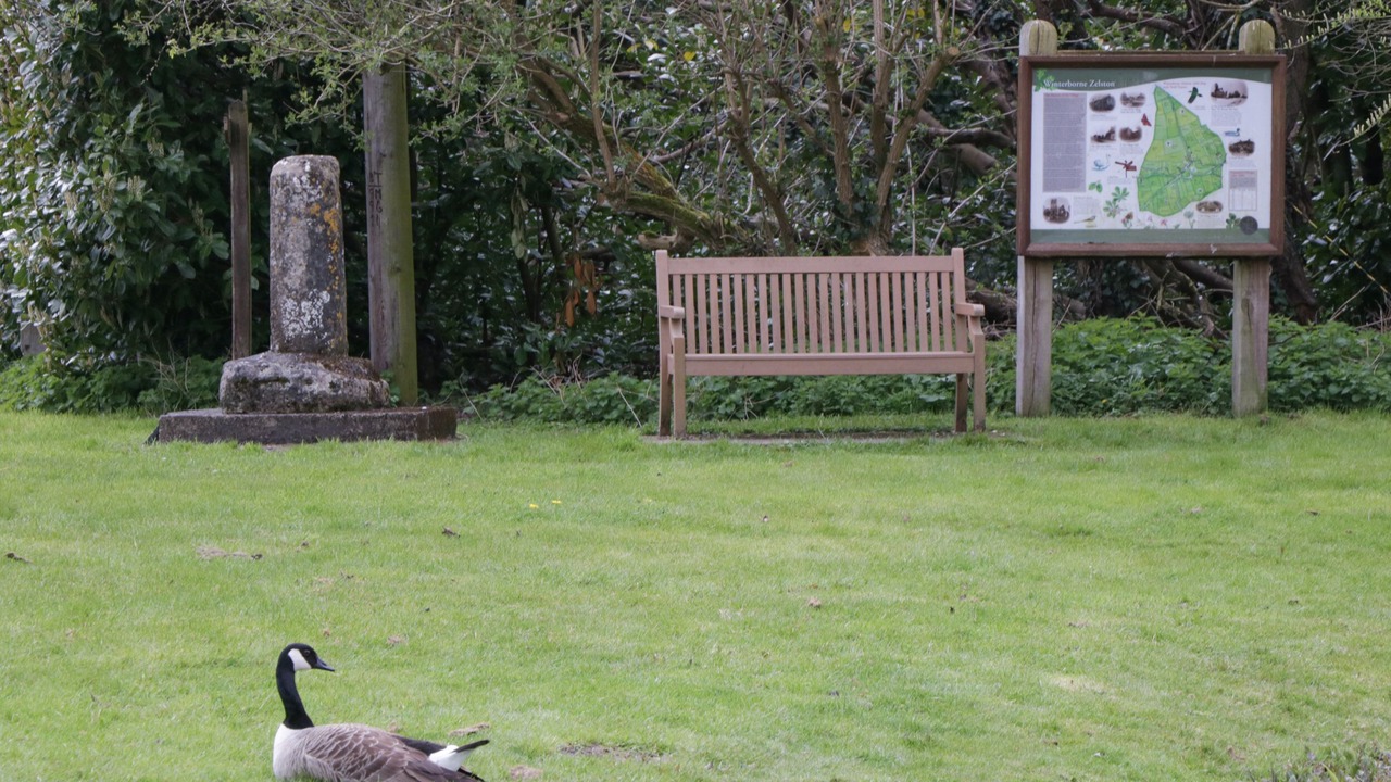 Photo of Others in Winterborne Zelston