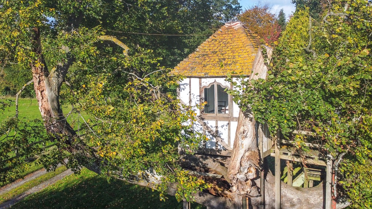 Photo of Others in Eaton Mascott