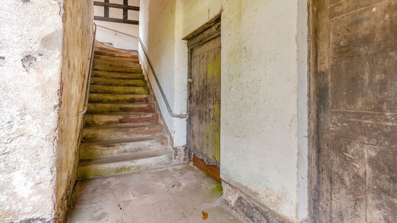 Photo of Others in Eaton Mascott