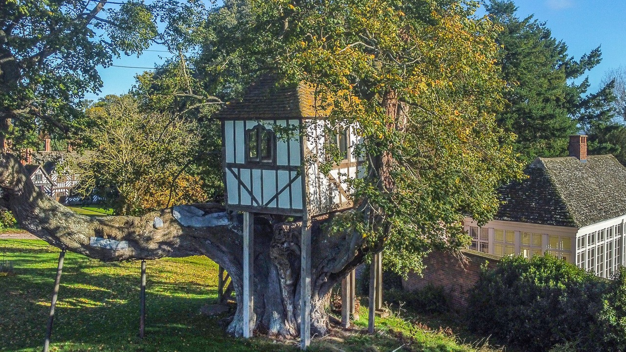 Photo of Outdoor in Eaton Mascott