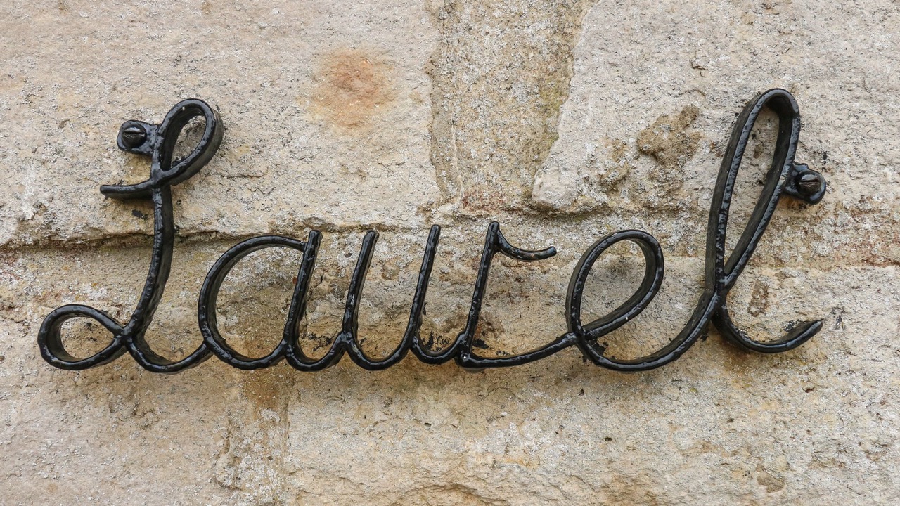 Photo of Others in Osmington Mills