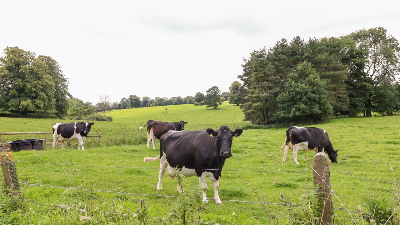 Photo of Others in Hulland Ward