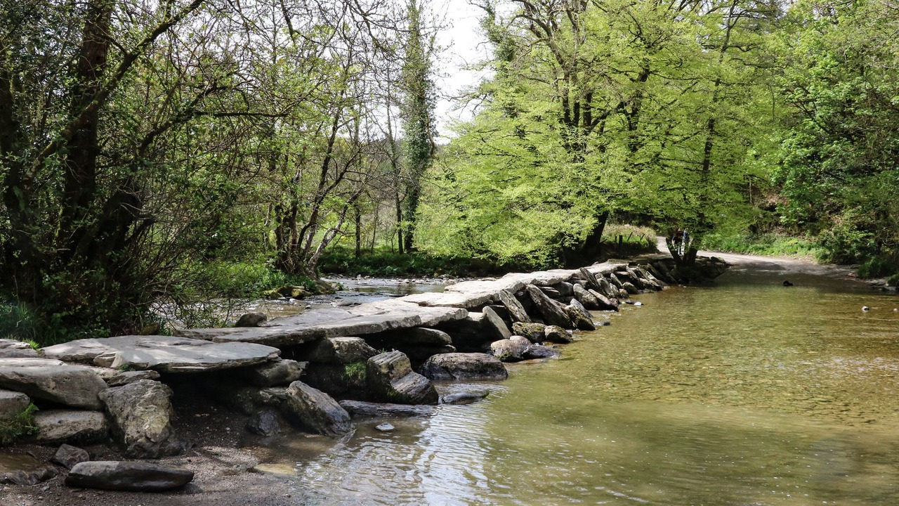 Photo of Others in Watchet