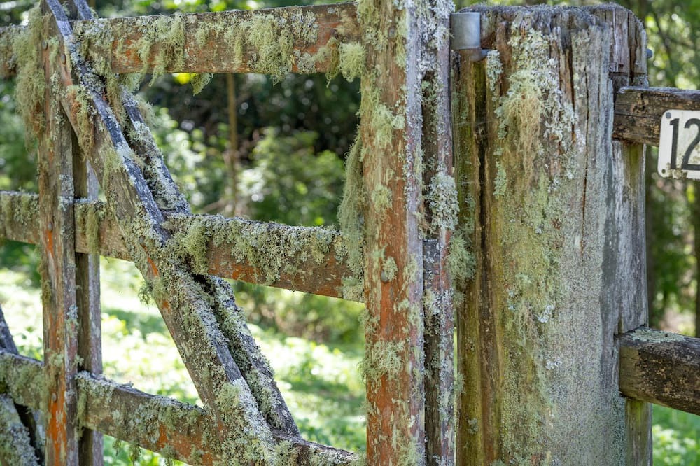 Photo of Outdoor in Beaumont