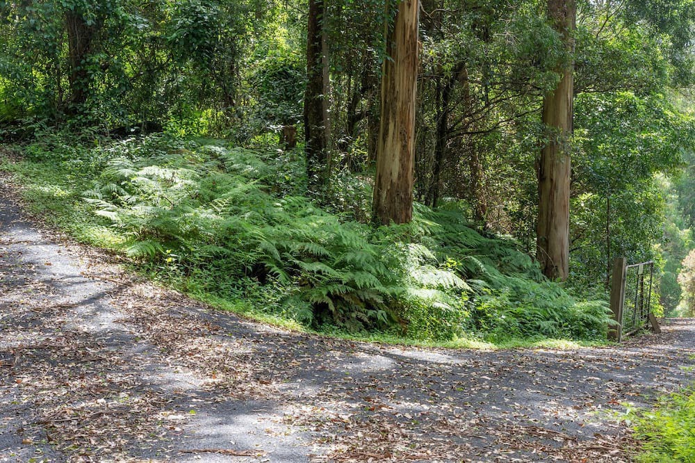 Photo of Outdoor in Beaumont