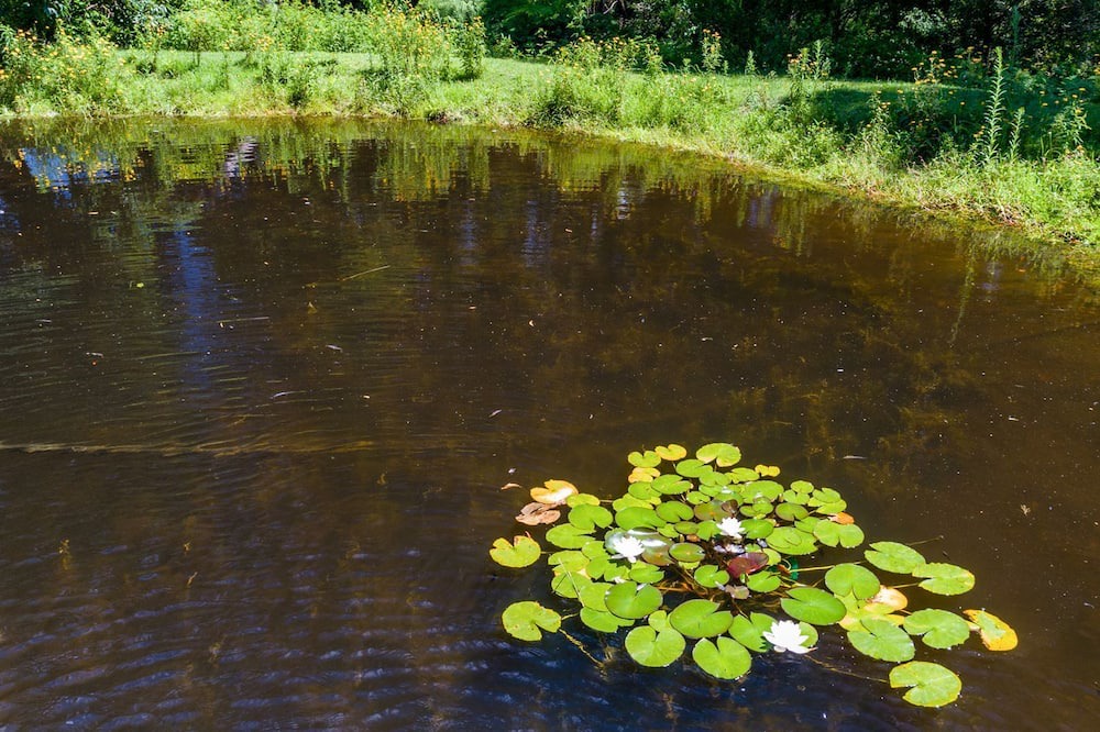 Photo of Outdoor in Beaumont