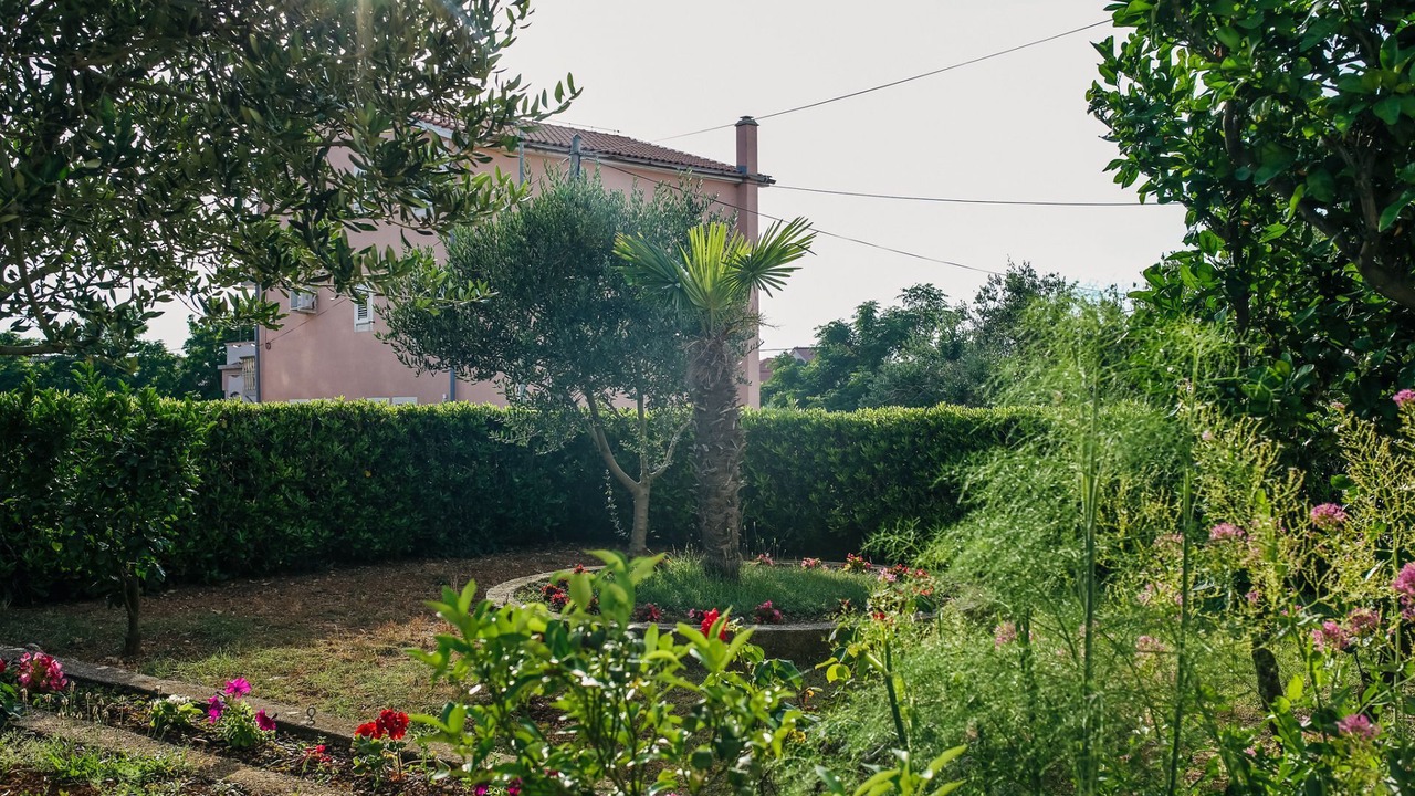 Photo of Outdoor in Zrce