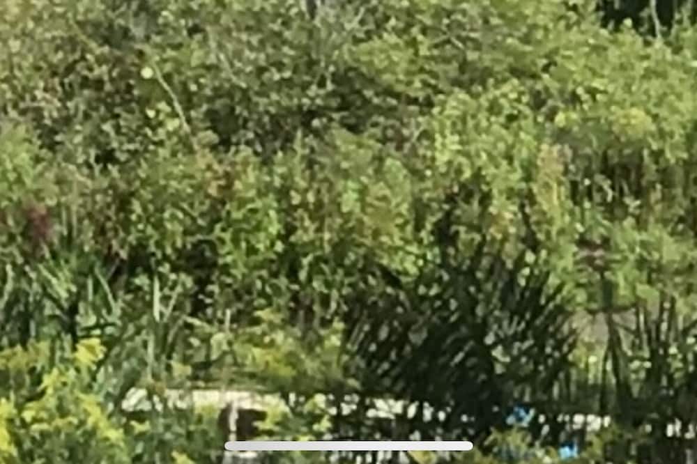 Photo of Others in Alexandria Bay