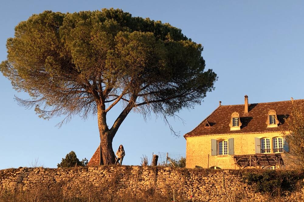 Photo of Outdoor in Sainte-Alvere