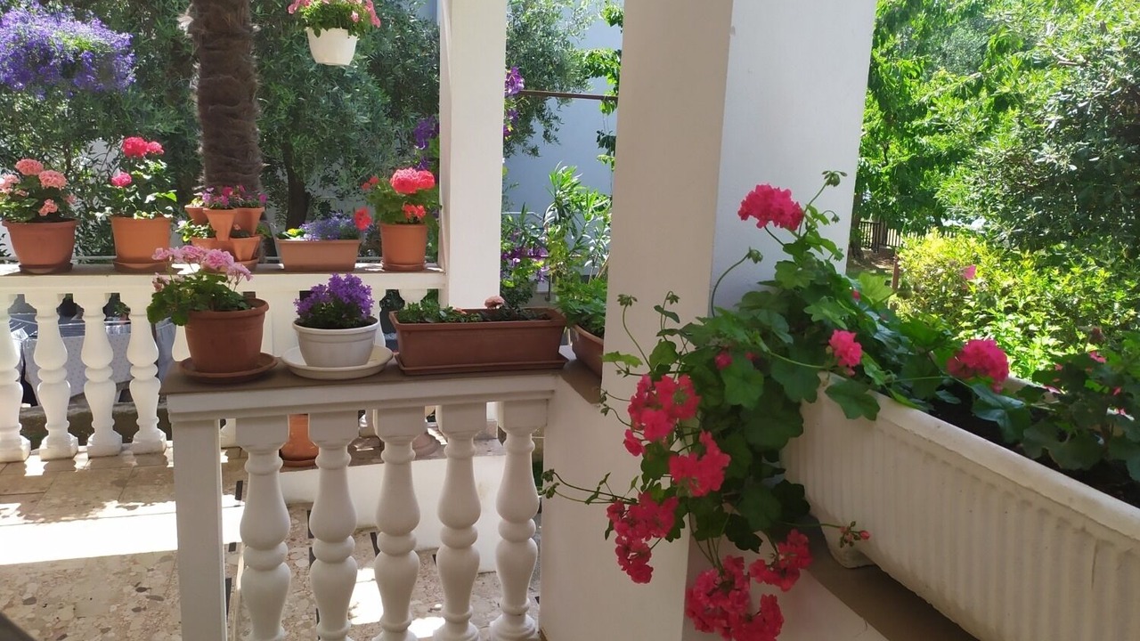 Photo of Outdoor in Bibinje