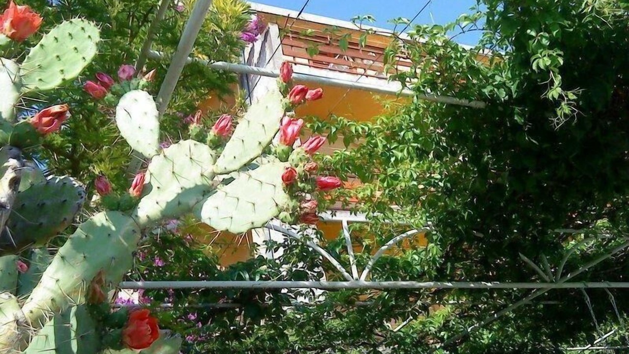 Photo of Outdoor in Bili brig