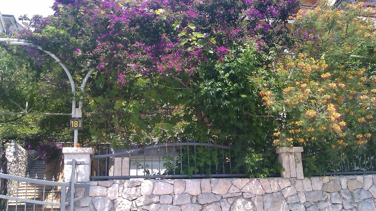 Photo of Outdoor in Bili brig