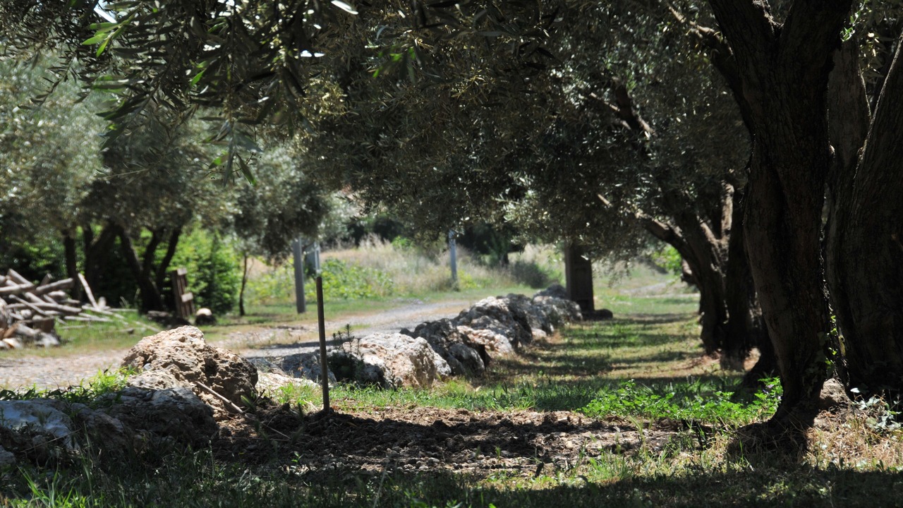 Photo of Outdoor in Pezenas