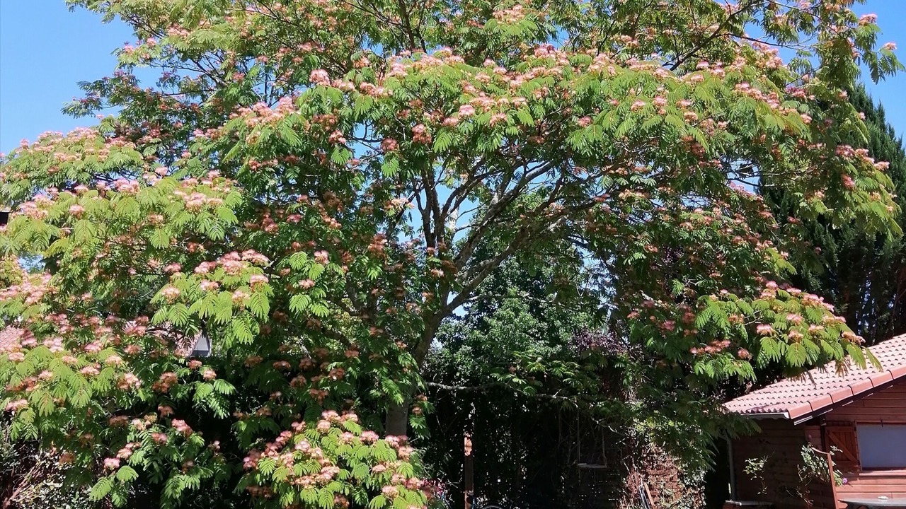 Photo of Outdoor in Lit-et-Mixe