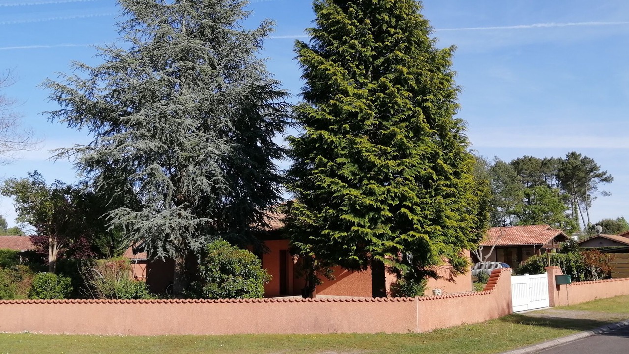 Photo of Outdoor in Lit-et-Mixe