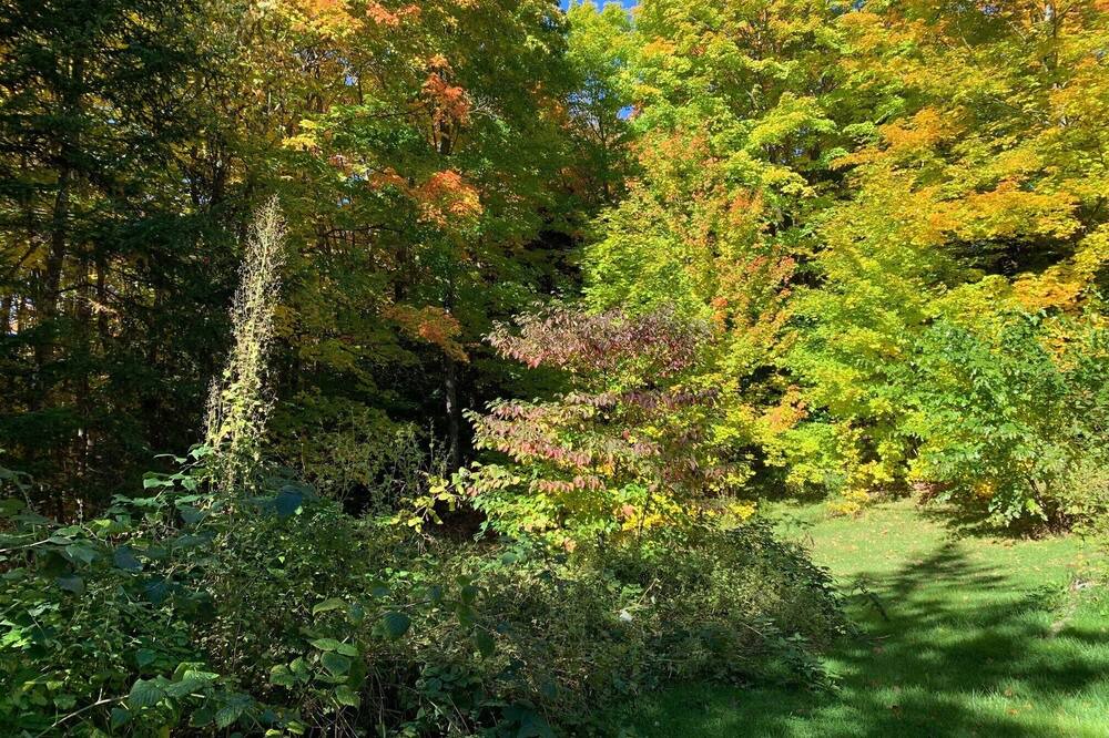 Photo of Outdoor in Sainte-Beatrix