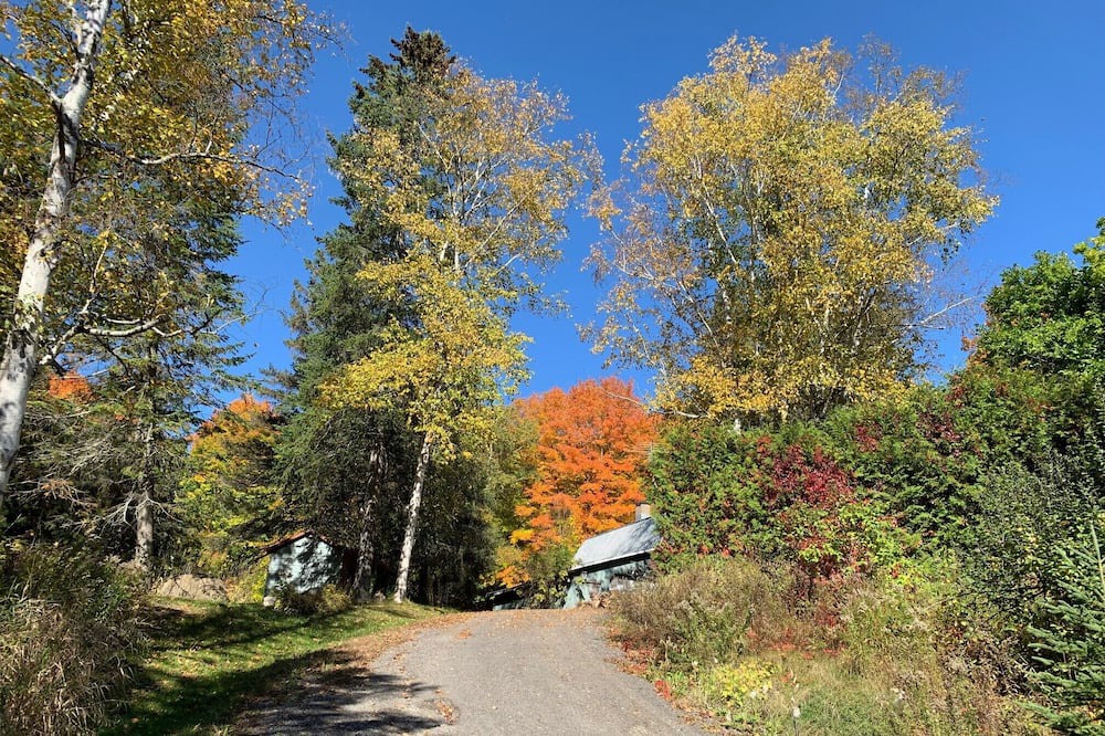 Photo of Outdoor in Sainte-Beatrix