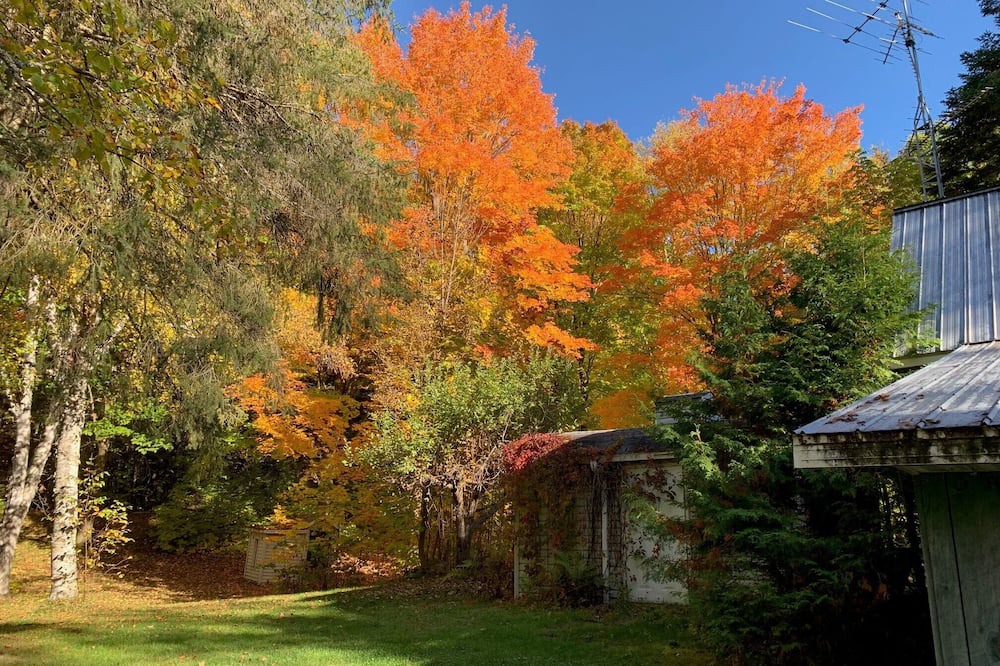 Photo of Outdoor in Sainte-Beatrix