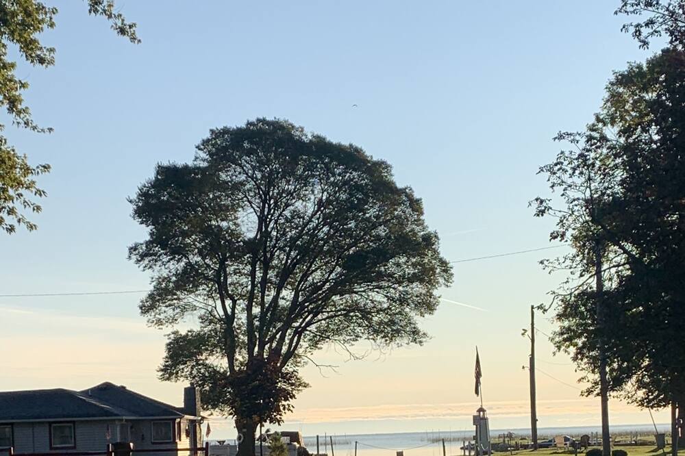 Photo of Others in Standish