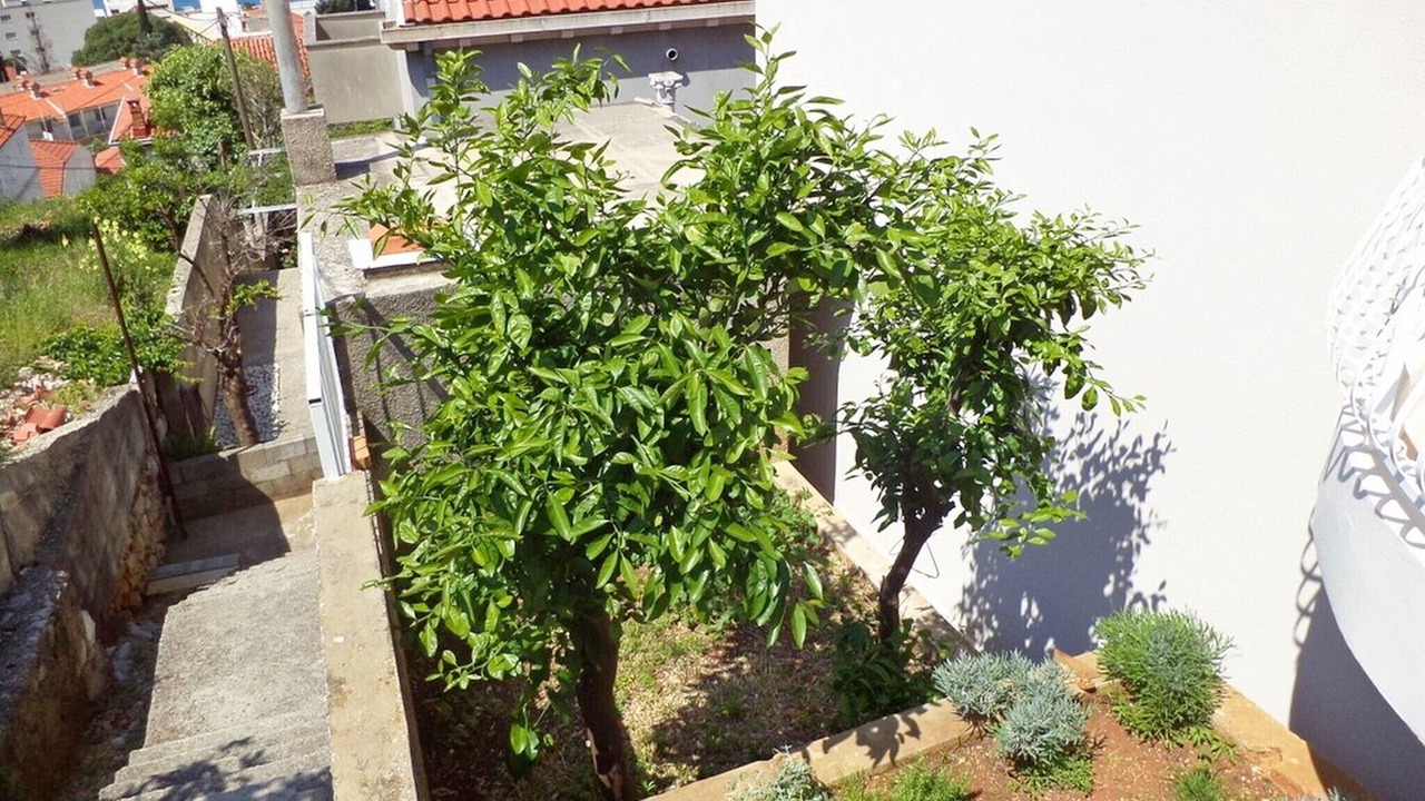 Photo of Outdoor in Gruz