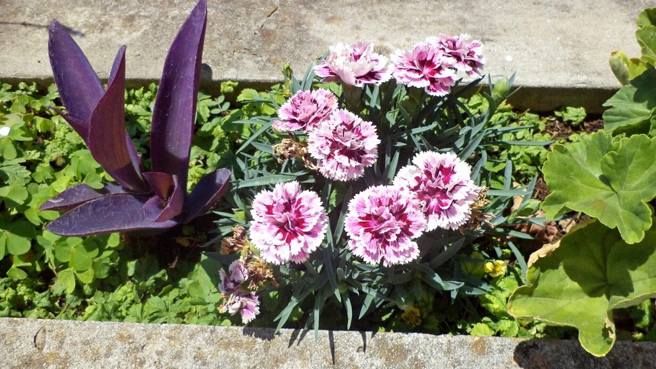 Photo of Outdoor in Gruz