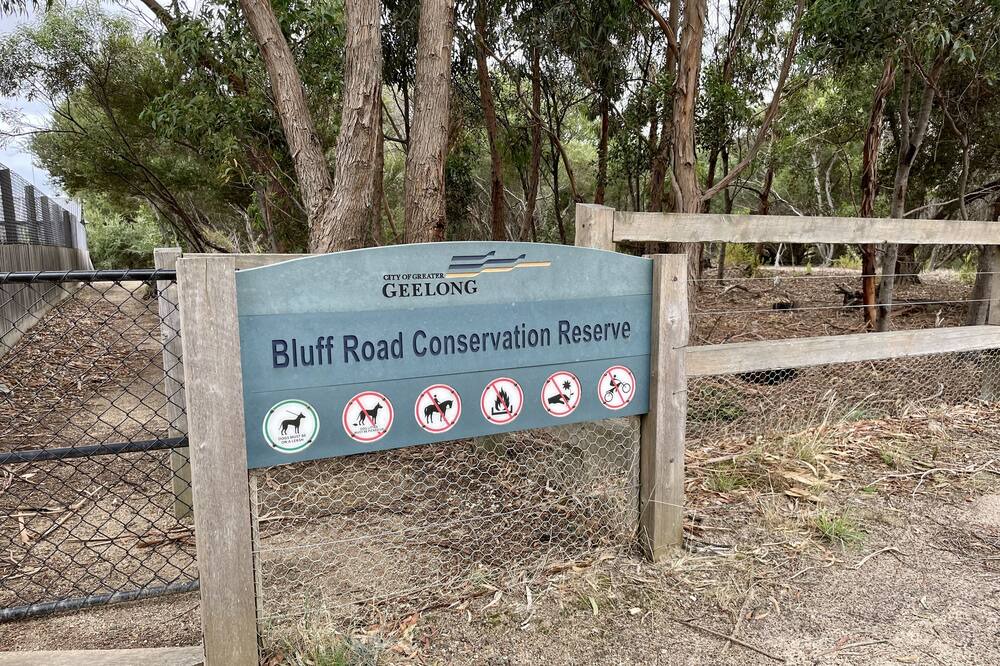 Photo of Outdoor in St Leonards