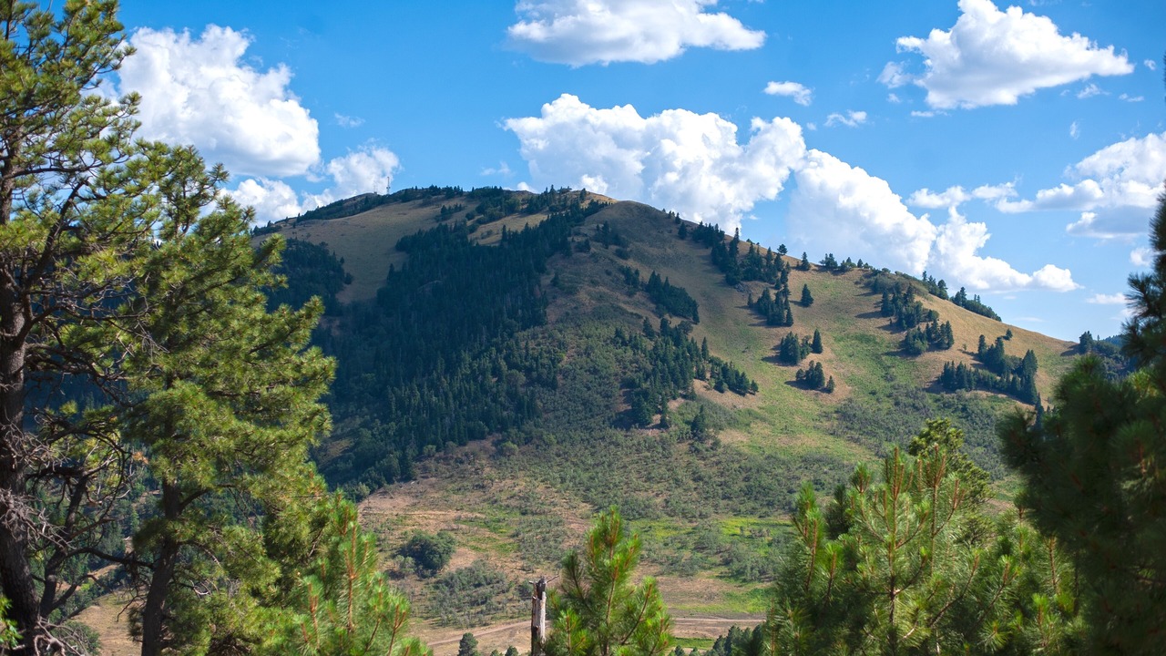 Photo of Others in Ruidoso
