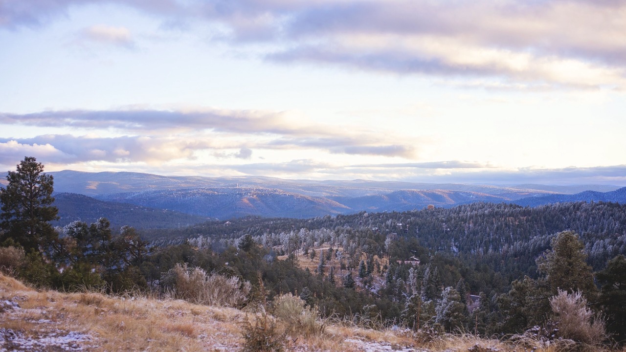 Photo of Others in Ruidoso