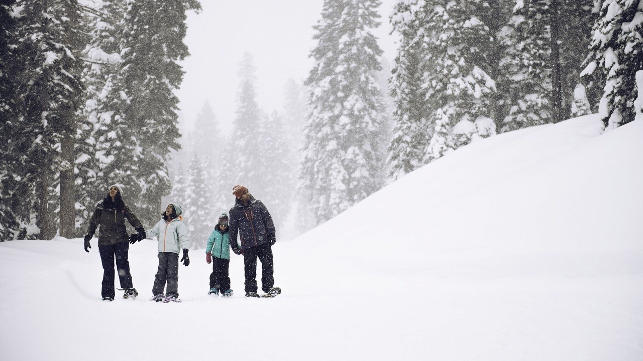 Photo of Others in Truckee