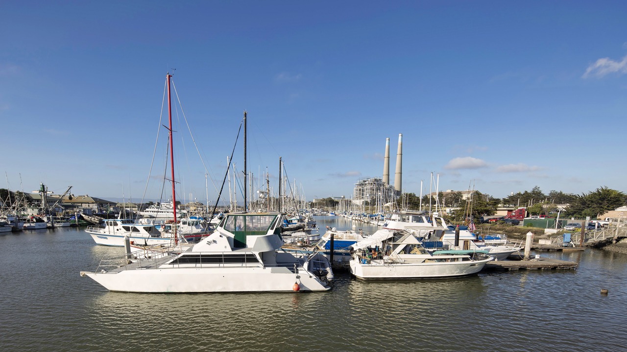 Photo of Others in Moss Landing