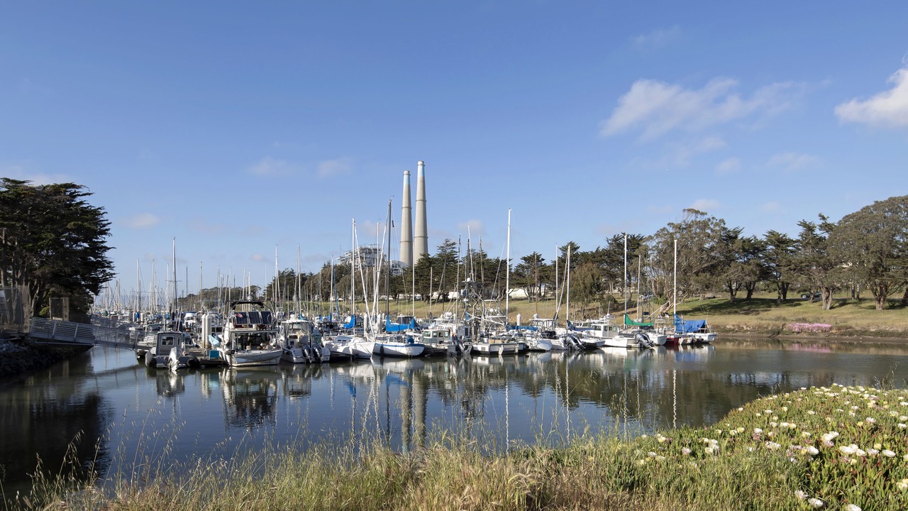 Photo of Others in Moss Landing