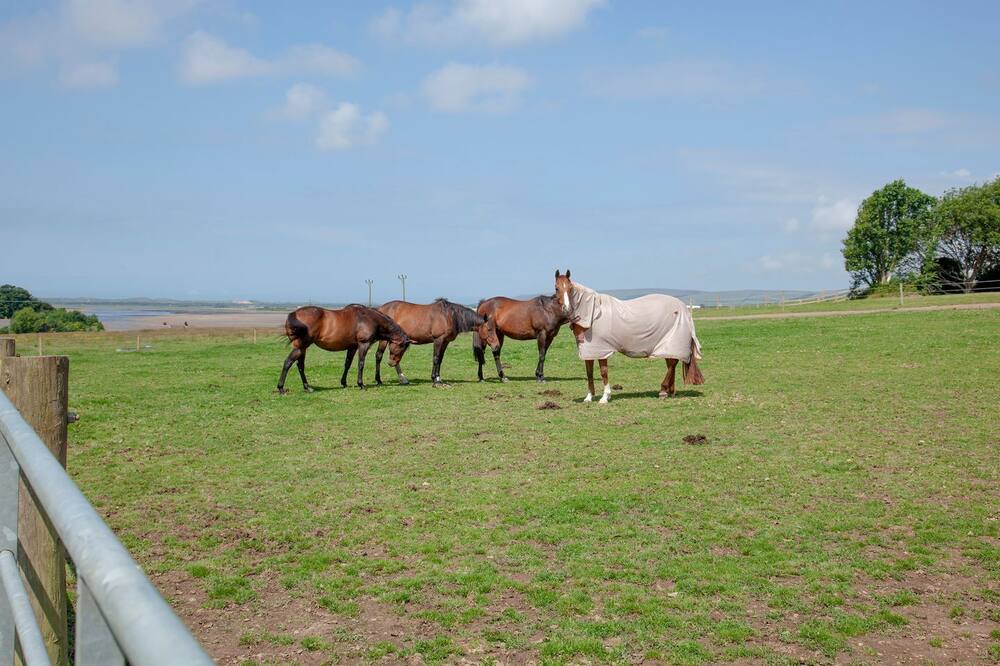Photo of Outdoor in Barnstaple