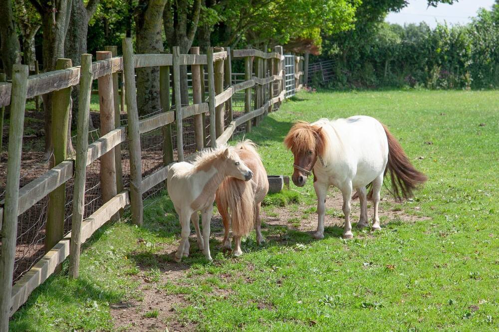 Photo of Outdoor in Barnstaple