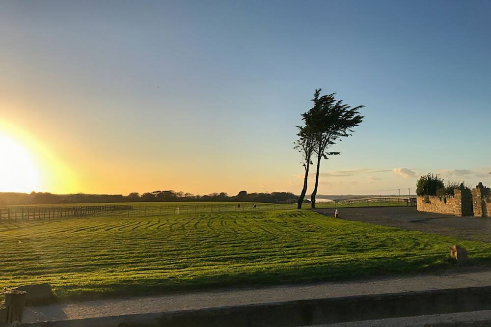 Photo of Others in Barnstaple