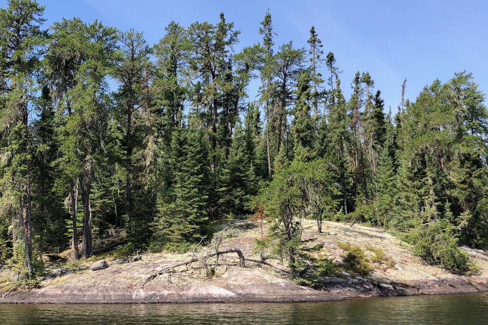 Photo of Others in Perrault Falls