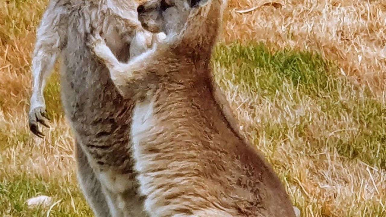 Photo of Outdoor in Newham