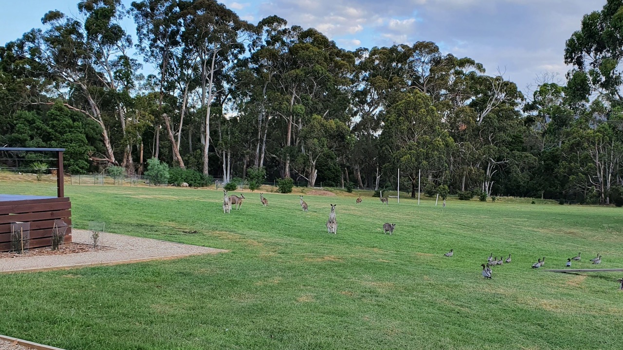 Photo of Outdoor in Newham