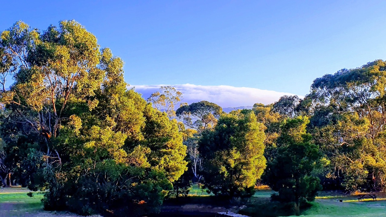 Photo of Others in Newham