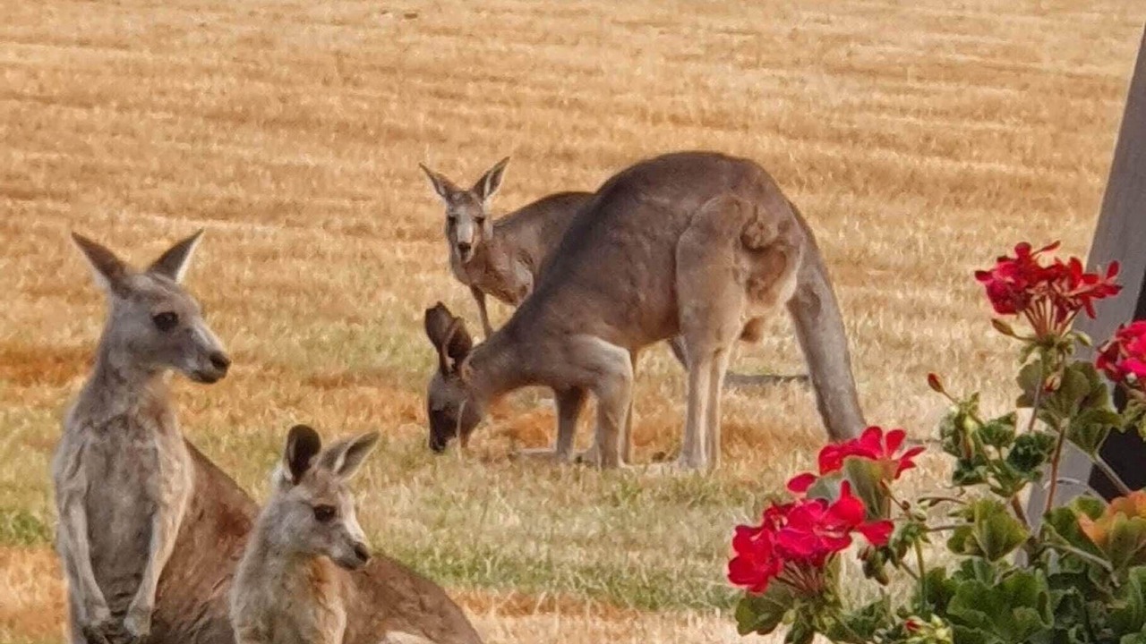 Photo of Outdoor in Newham