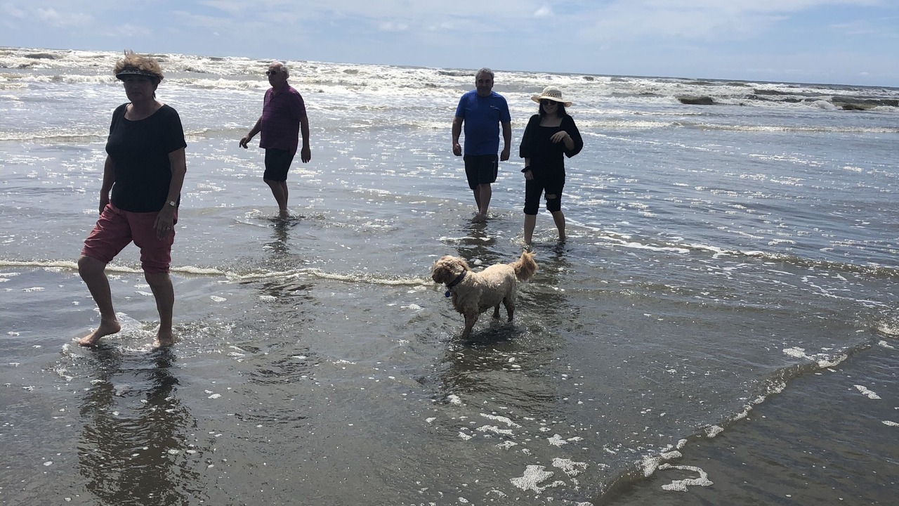 Photo of Others in Waikawa Beach