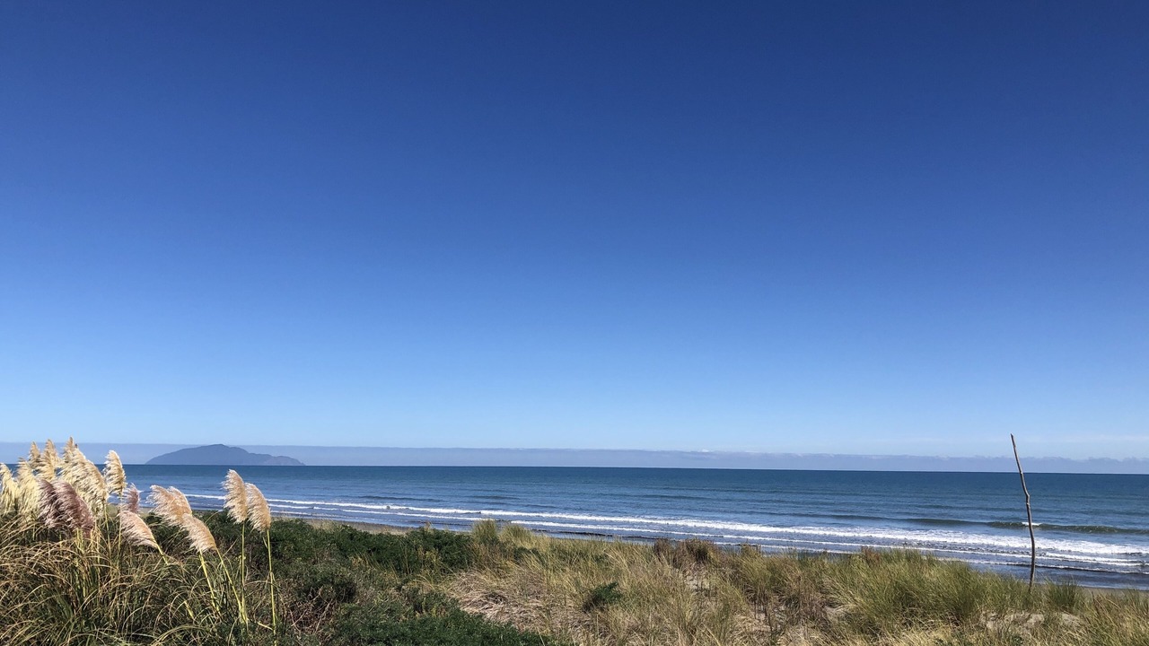 Photo of Others in Waikawa Beach