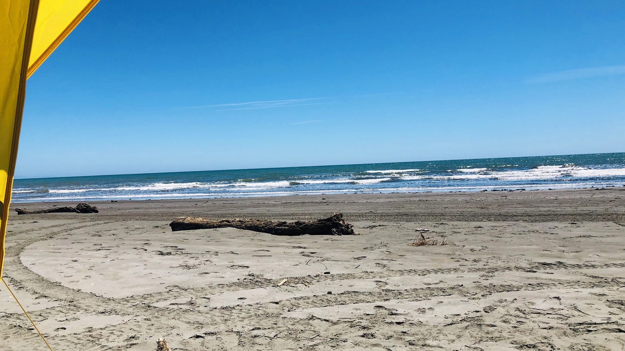 Photo of Others in Waikawa Beach