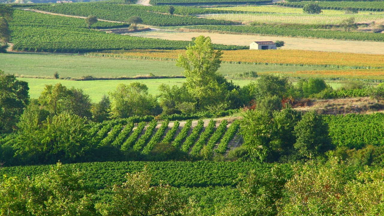 Photo of Others in Saint Alban Auriolles