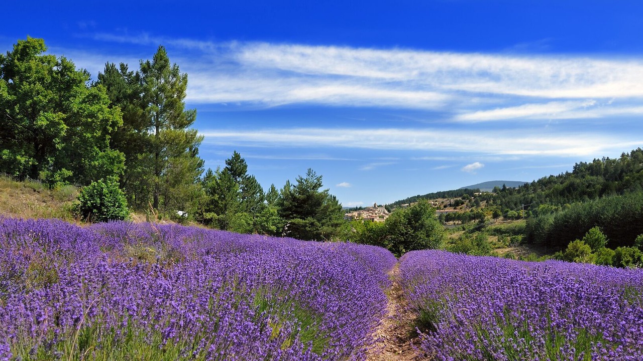 Photo of Outdoor in Saint Alban Auriolles
