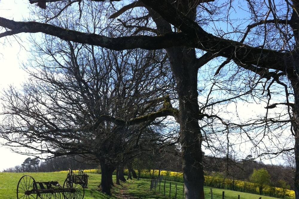 Photo of Outdoor in Leojac