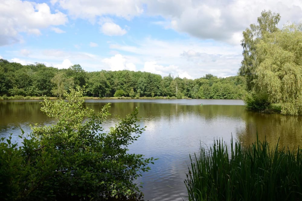 Photo of Outdoor in La Guiche