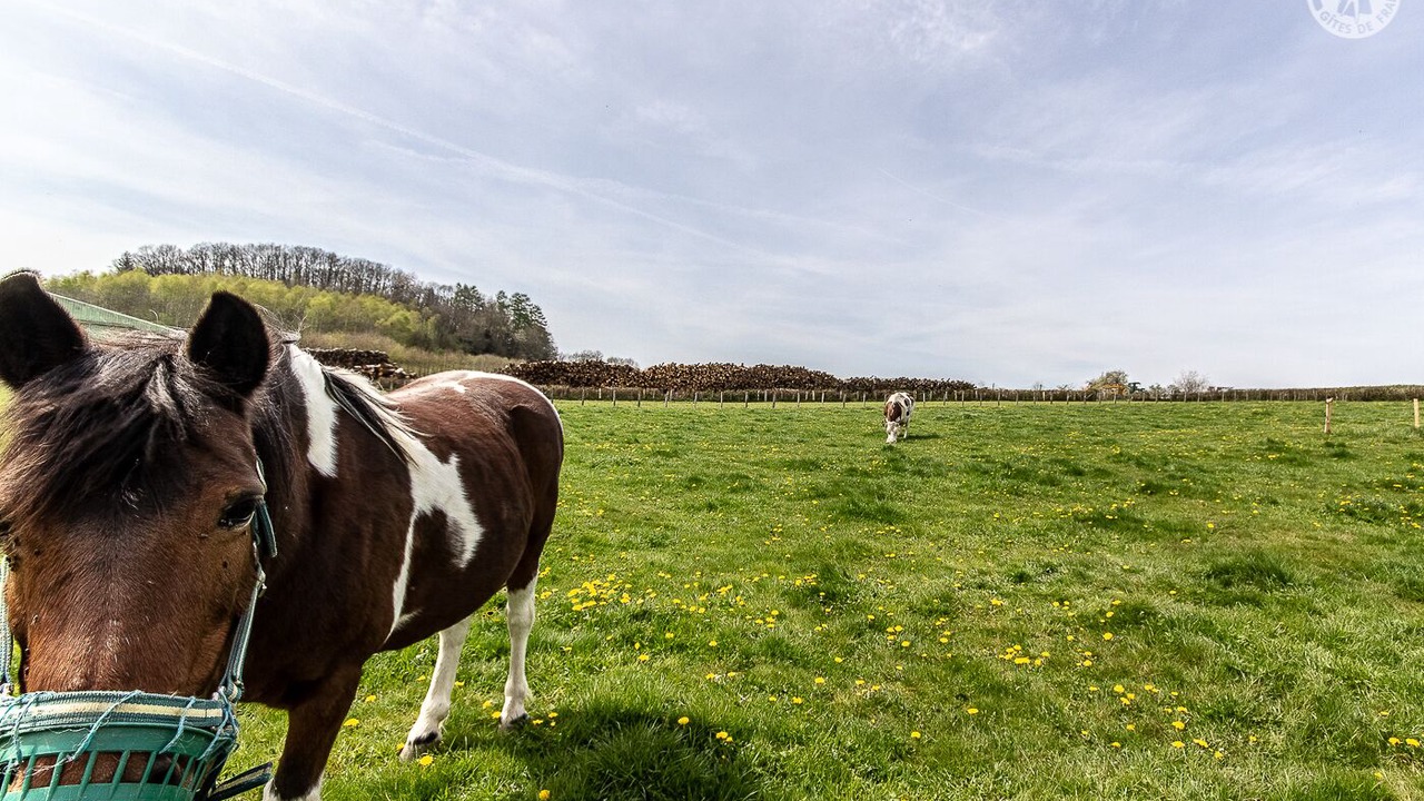 Photo of Outdoor in Cussy-en-Morvan